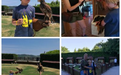 Gradara: falconieri per un giorno!