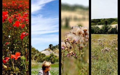 Glamping in Toscana visitando Assisi, Pienza, Bagno Vignoni e le Terme libere di Bagni San Filippo