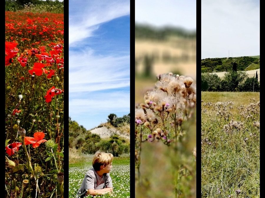 Glamping in Toscana visitando Assisi, Pienza, Bagno Vignoni e le Terme libere di Bagni San Filippo