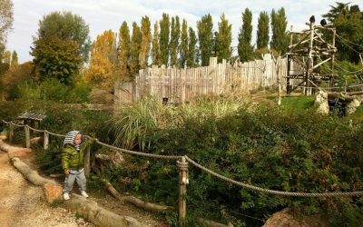 Verona con bambini tra cultura e parchi divertimento