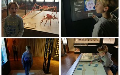 Vienna con bambini, cosa vedere? Il museo interattivo di storia naturale!