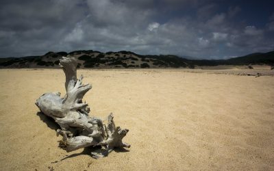Sardegna insolita e inaspettata