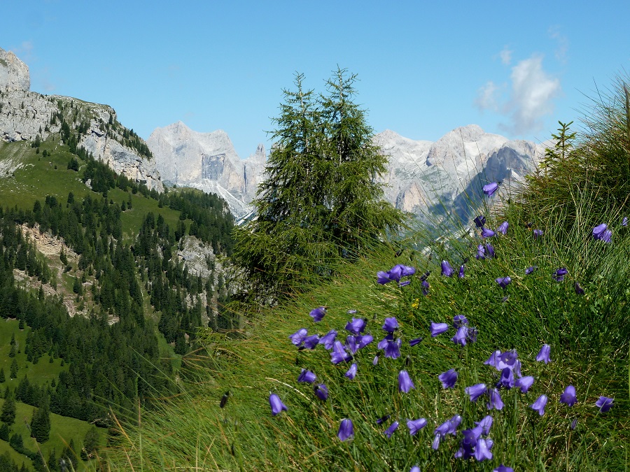val-di-fassa-con-bambini val-di-fassa-con-bambini