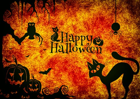 Cosa fare a Halloween? parchi divertimento, sagre, feste….ecco i nostri suggerimenti per la festa più spaventosa dell’anno!