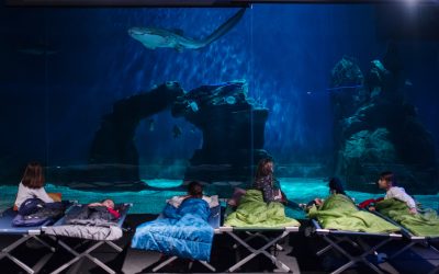 HALLOWEEN A GENOVA TRA ACQUARIO E GALATA MUSEO DEL MARE