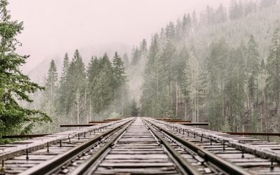 Come andare in treno e bus al Lago di Bled in Slovenia. Per gli amanti dei viaggi lenti.