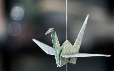 Cigno d’argento e origami